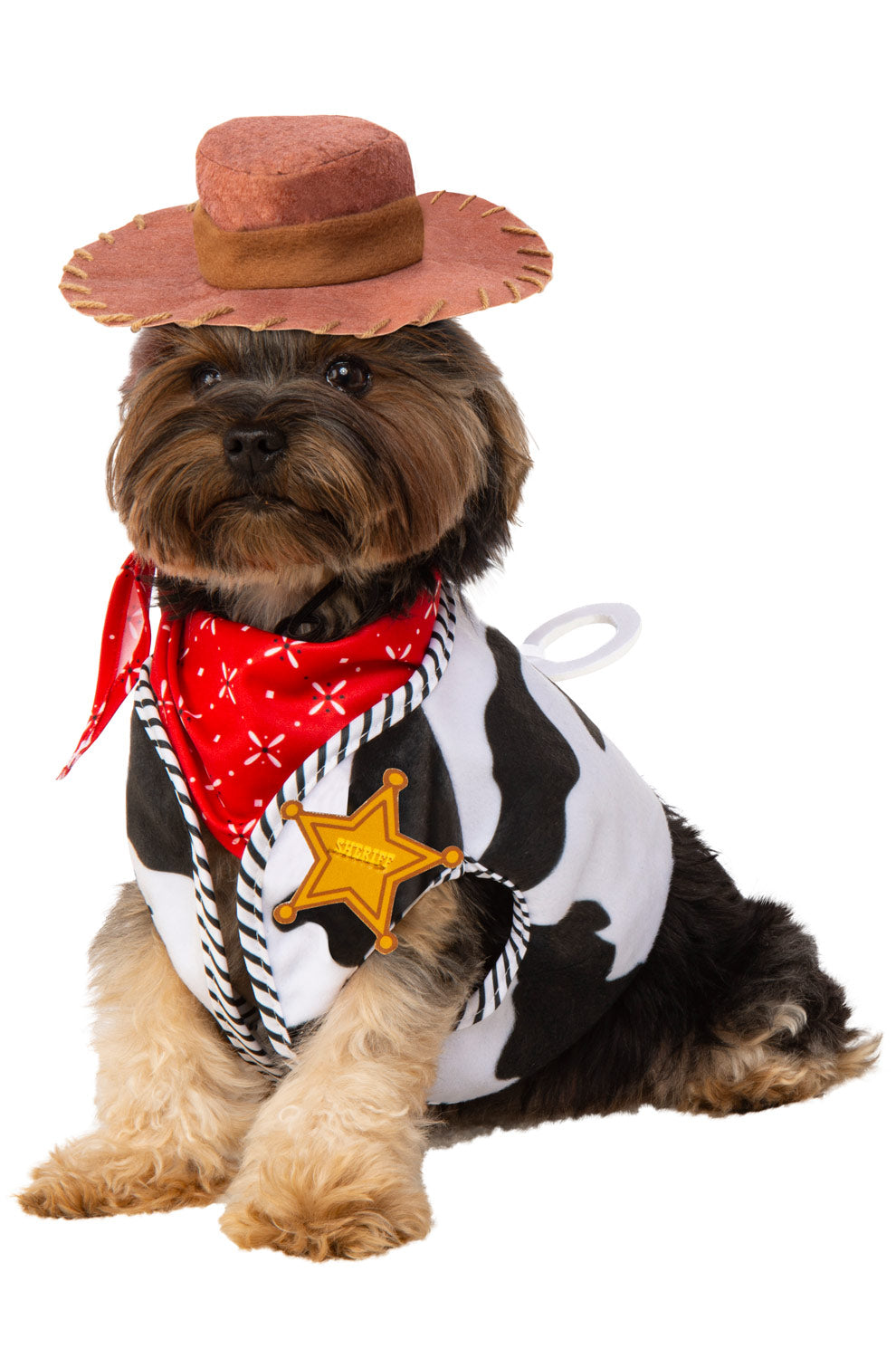 Woody Pet Accessory