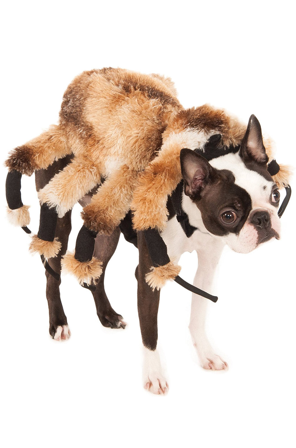 Creepy Spider Harness Pet Costume
